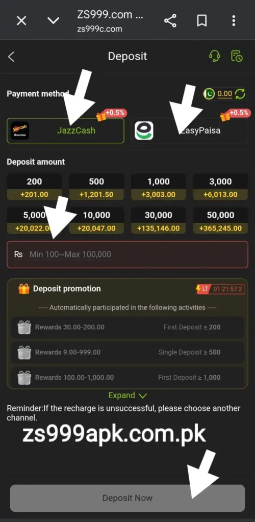 zs999 game