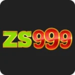 ZS999 For PC
